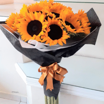 Girasoles