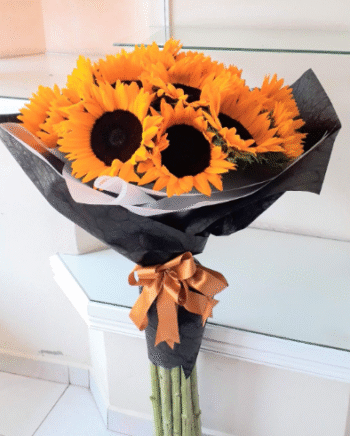 Girasoles